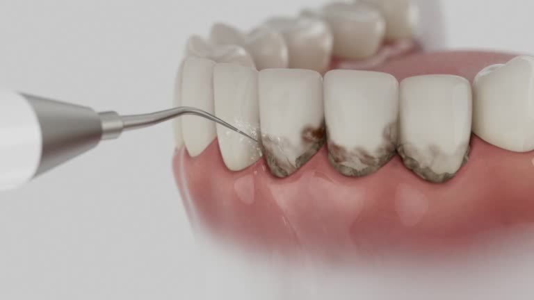 Reliable Dental contractor in Greensboro, MD by Dentist Open Now